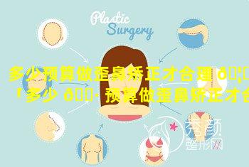 多少预算做歪鼻矫正才合理 🦟 「多少 🌷 预算做歪鼻矫正才合理呢」